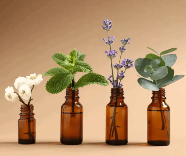 Corso Oli essenziali e aromaterapia